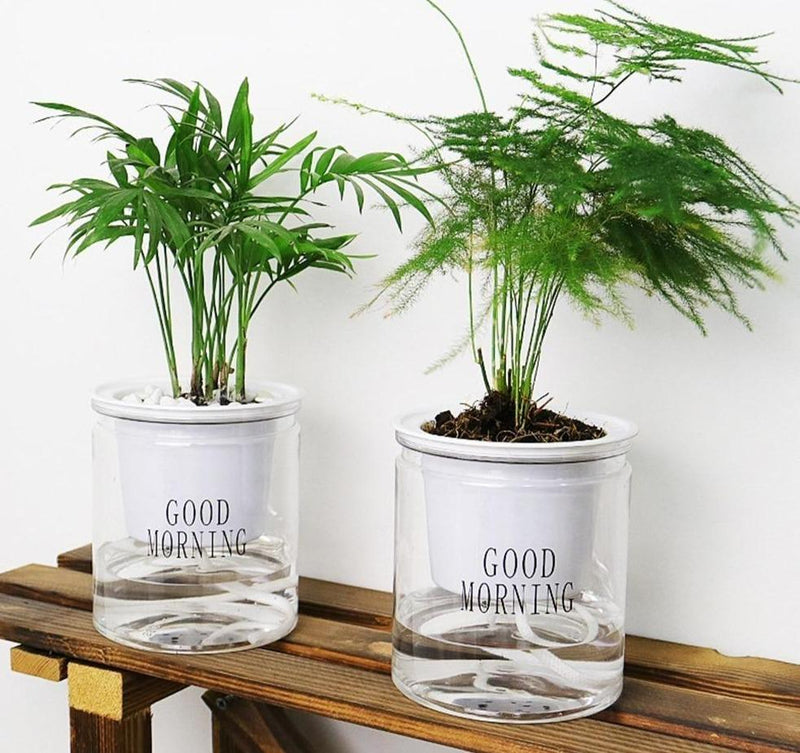 Vaso Hidropônico - Easy Growing Plants